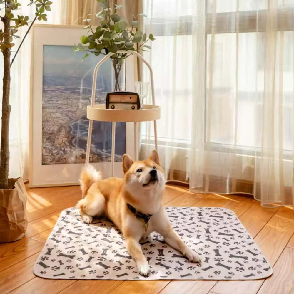 Tapis hygiénique, absorbant et lavable pour chiens